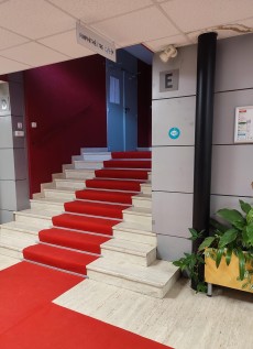 Tapis rouge à l'entrée des amphithéatres