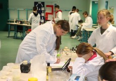Collège Gabriel Deshayes - Saint Gildas des Bois : L'impact écologique des emballages cosmétiques