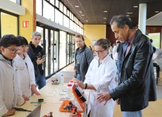 Collège de l'Anglée - Sainte Hermine : Peut-on créer du feu froid ? 