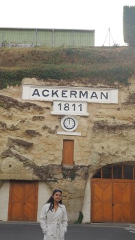 Visite de cave