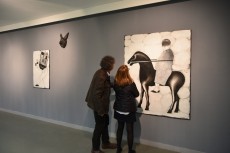 Art gallery in the library