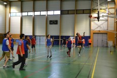 Basket