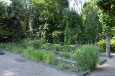 Jardin botanique du Département pharmacie