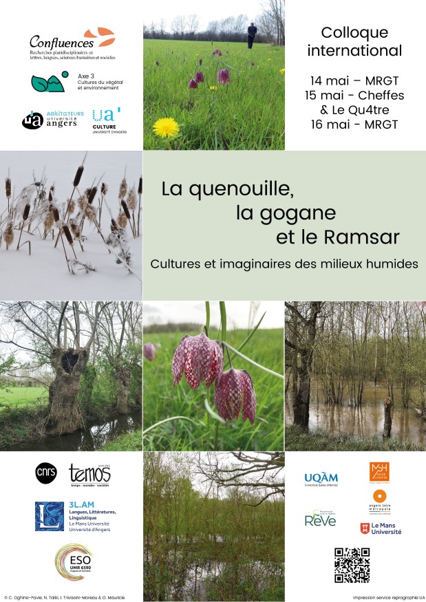 Affiche du colloque