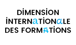 dimensions internationales des formations