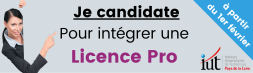 Je candidate pour intégrer une LP