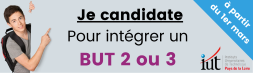 Je candidate pour intégrer un BUT2 ou BUT3