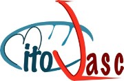 Logo de Mitovasc