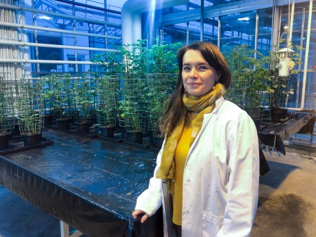 Photo de Marie Simonin dans une serre.