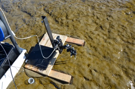Photo of mud samples